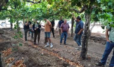 San Juan fortalece su producción con la creación de la Mesa de Viveros Vitícolas