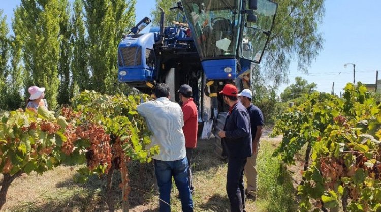 INTA en crisis: en San Juan temen despidos