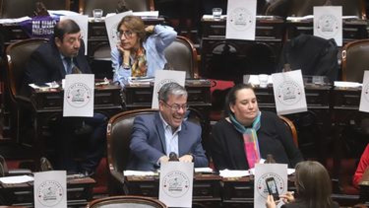 Victoria opositora en Diputados: se aprobó un aumento del 7,2%