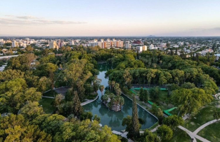 Ambiente abre la convocatoria 2025 del Programa de Forestación Provincial