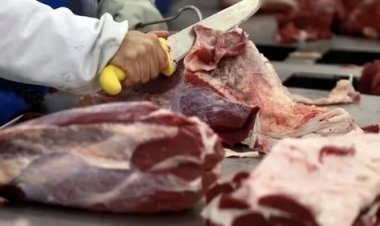El consumo de carne vacuna en Argentina sigue siendo uno de los más bajos de la historia