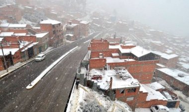 Bolivia enfrenta un invierno extremo: 92 municipios en desastre por heladas