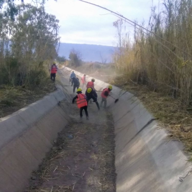 Avanza la monda de canales 2025