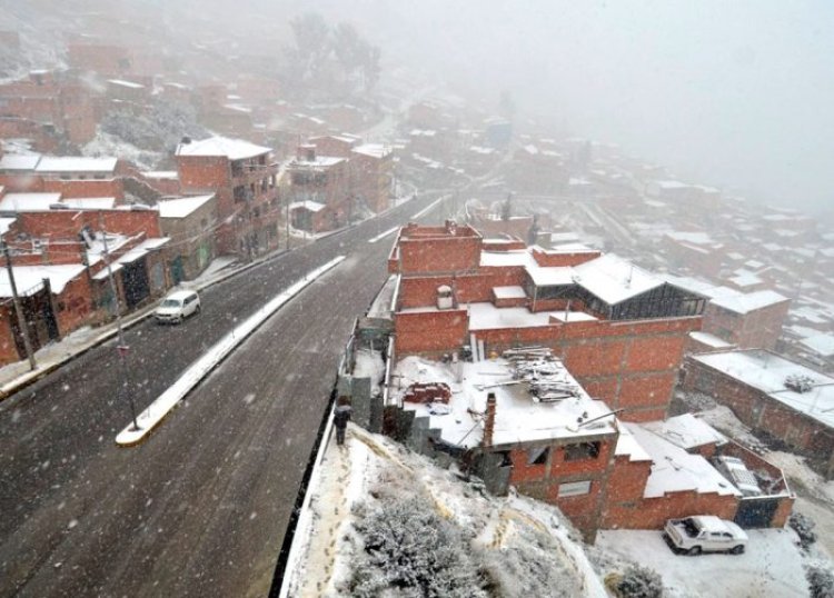 Bolivia enfrenta un invierno extremo: 92 municipios en desastre por heladas