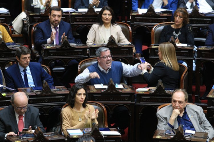 Diputados se prepara para una maratónica sesión con foco en los vetos de Javier Milei