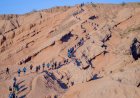 Se realizó con éxito la cuarta edición de Tierra de Gigantes