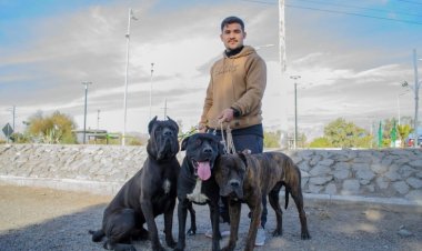 Tenencia Responsable de Macotas: cronograma de actividades para los próximos días