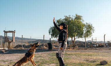 Cuidar y proteger: el día a día de los canes del Servicio Penitenciario