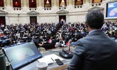 Diputados aprobó el rechazo al veto a la emergencia en Discapacidad