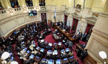 El Senado busca convertir en ley el financiamiento universitario y la emergencia en pediatría