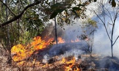 Se registraron más de 20 incendios simultáneos por el Zonda en San Juan
