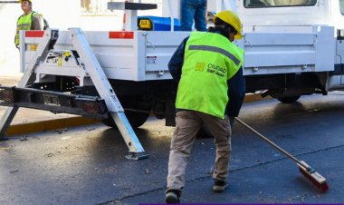 El municipio de la Ciudad avanza con el cronograma semanal de mantenimiento del arbolado urbano