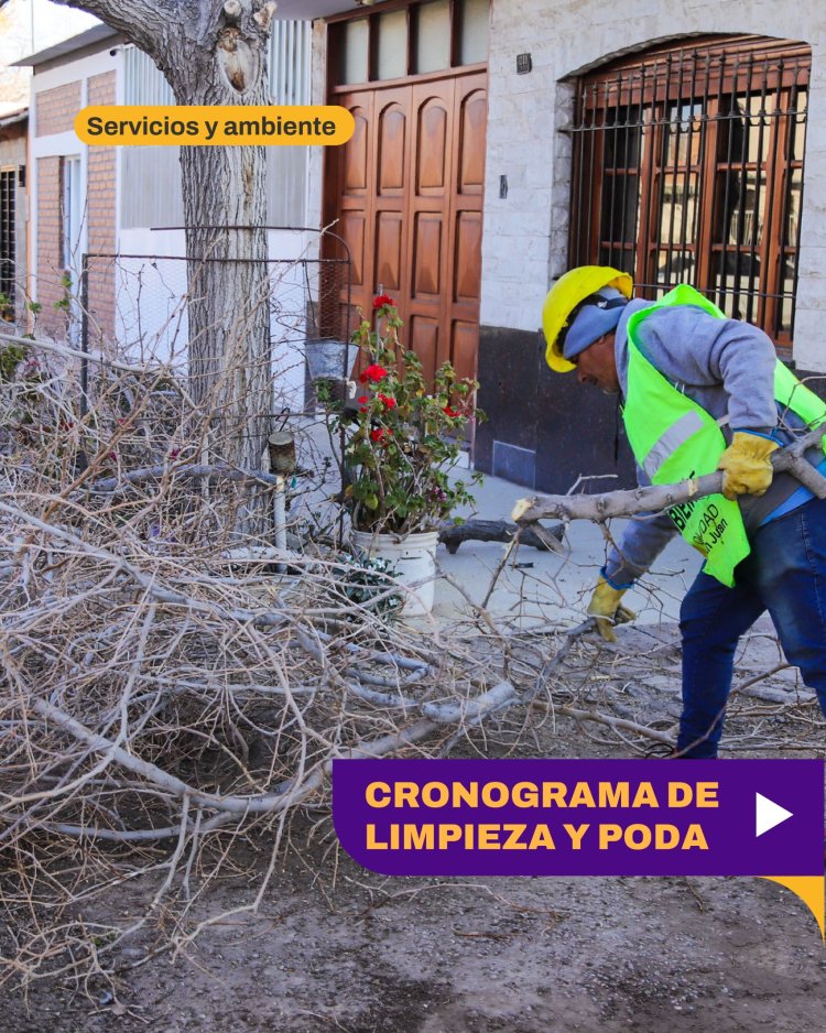Cronograma semanal de Poda en la Ciudad