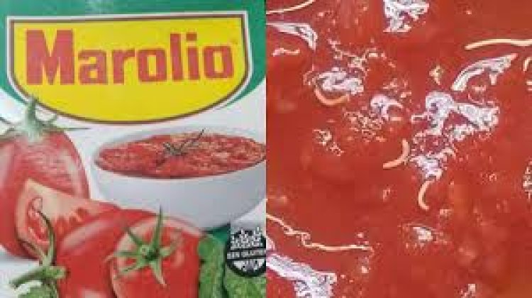 Tomate Marolio con gusanos: cómo reconocer el envase para no consumirlo