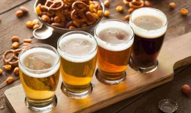 Investigadores del CONICET buscan desarrollar cervezas con propiedades beneficiosas para la salud