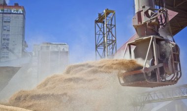 El Gobierno elimina retenciones a los granos hasta el 31 de octubre