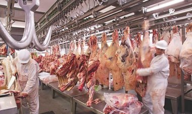 El Gobierno también eliminará las retenciones para la carne avícola y bovina