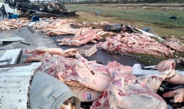 Un camión con carne volcó en Mendoza y la gente intentó llevarse las medias reces