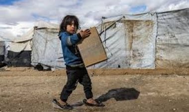 La pobreza cayó al 31,6% en el primer semestre 2025