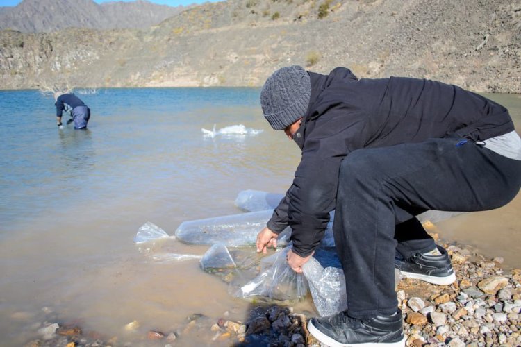 Ambiente repuebla el Dique Punta Negra con 520 pejerreyes juveniles