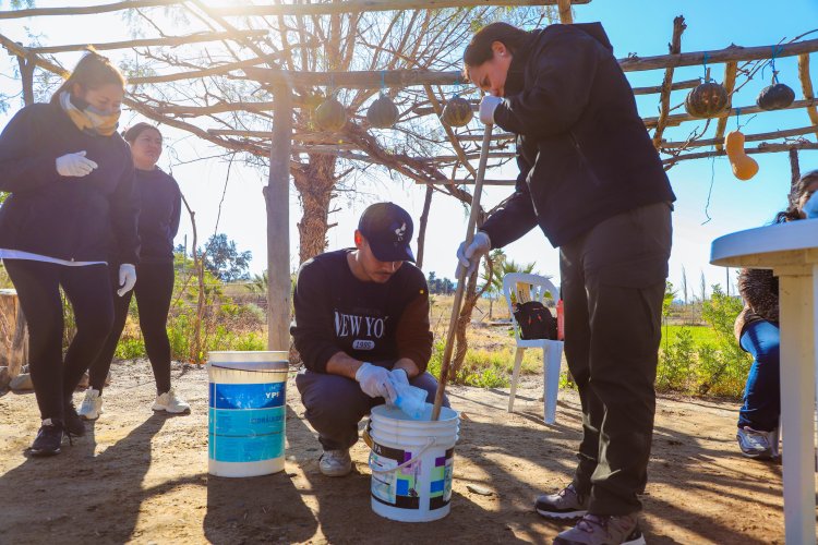 Jornada de Capacitación en Huerta Agroecológica