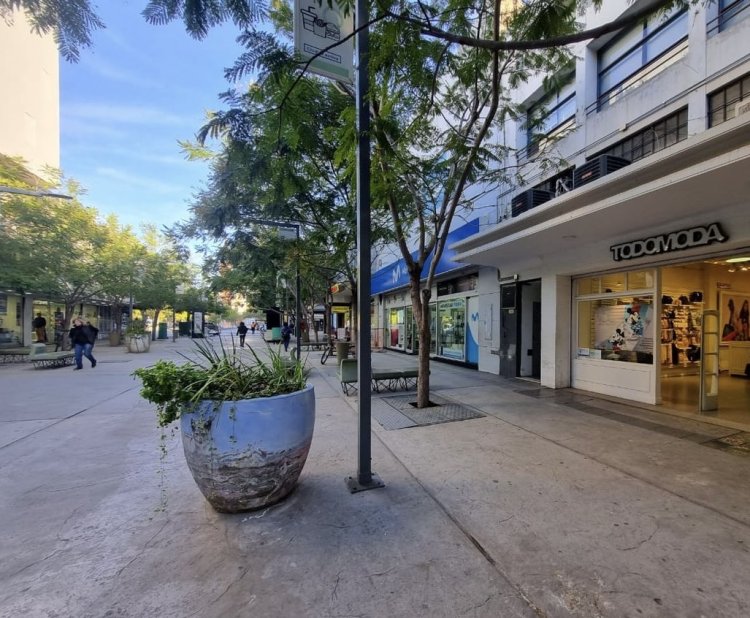 El comercio de San Juan no trabajará el próximo lunes 22