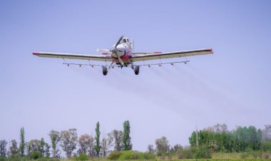 San Juan inicia la campaña aérea para combatir la polilla de la vid