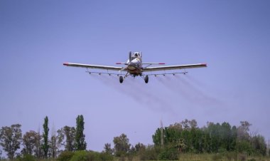 San Juan refuerza la lucha contra la polilla de la vid con nuevas aplicaciones aéreas