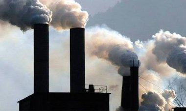 El dióxido de carbono alcanzó niveles récord en 2024