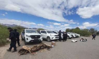 En La Rioja cayó la banda que habría robado 150 vacas en Gualcamayo