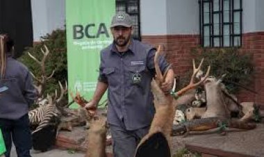 Un argentino que desmanteló una red de caza ilegal y tráfico de fauna recibirá un importante premio mundial