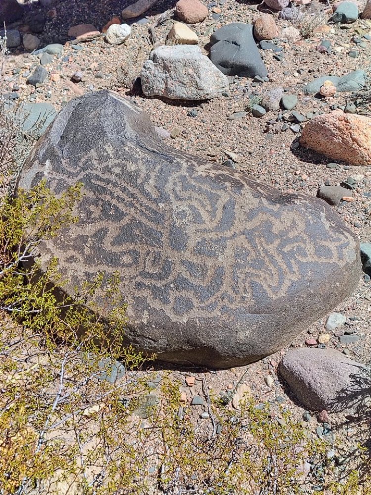 Relevamiento de petroglifos en la zona norte de Iglesia