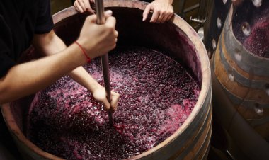 El Grupo Fecovita reconfigura Bodega Resero para aumentar su producción en San Juan