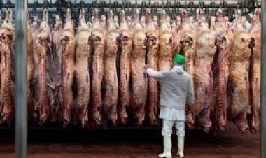 Por la mejora del precio internacional, las exportaciones de carne subieron casi 40%