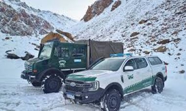 Hallaron con vida a los cinco andinistas que estaban perdidos en Cerro Punta Negra