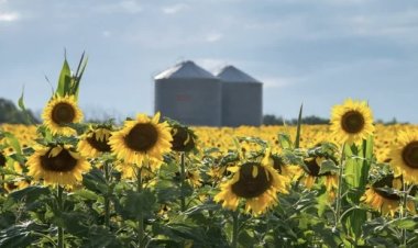 El Gobierno oficializó finalmente la baja de retenciones