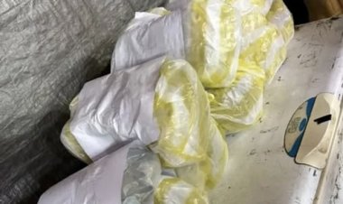 Bromatología destruyó "milanesas" que contenían papel higiénico y cartón