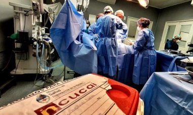 Argentina superó la cifra histórica de donantes de órganos y de trasplantes realizados en el país