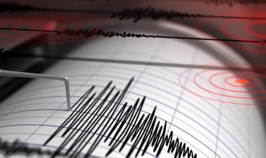 Un fuerte sismo se registró en la madrugada sanjuanina