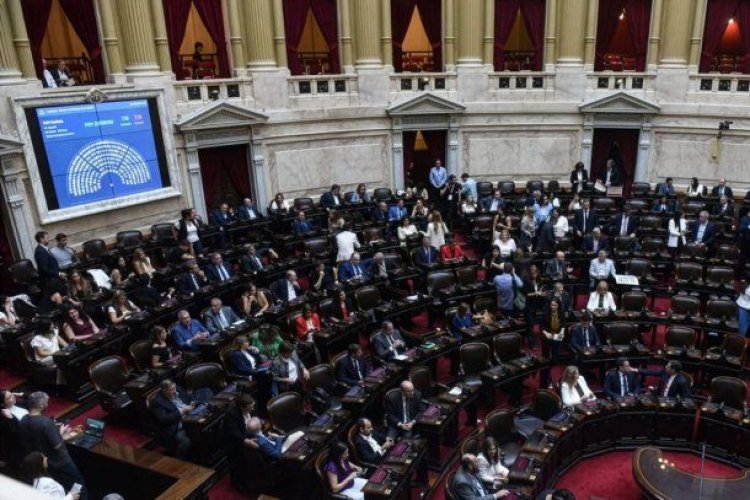 Congreso 2025:  sancionó una ley por mes, le vetaron 7 y rechazó 5 DNU