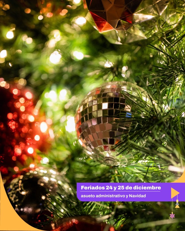 Servicios municipales en Capital: cronograma especial por Navidad