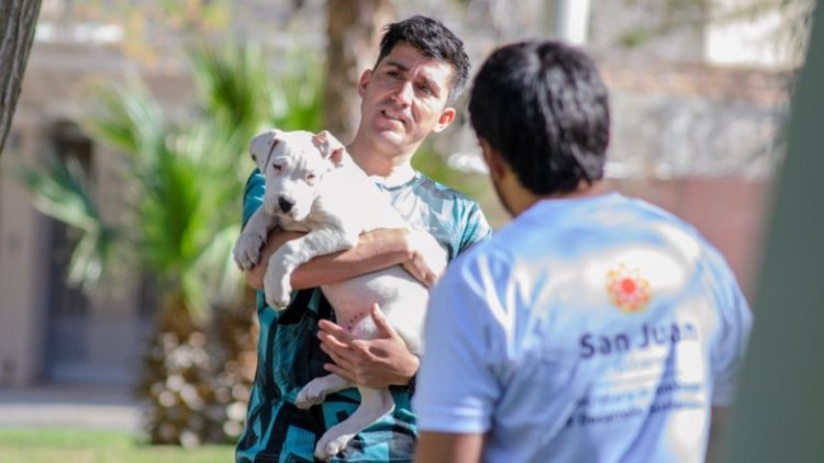 El quirófano móvil sigue recorriendo San Juan con esterilización gratuita