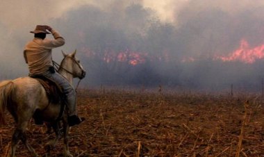El Banco Nación lanza créditos especiales para productores afectados por los incendios
