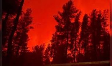 Acusan a Milei de “desfinanciar” el Servicio Nacional del Manejo del Fuego