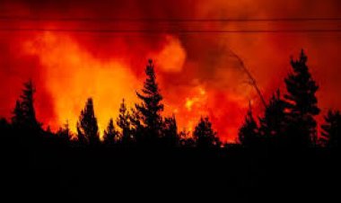 Emergencia en la Patagonia: de qué se trata la campaña nacional para asistir a los bomberos