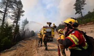 El Gobierno asegura que 22 de los 32 incendios están “completamente extinguidos”