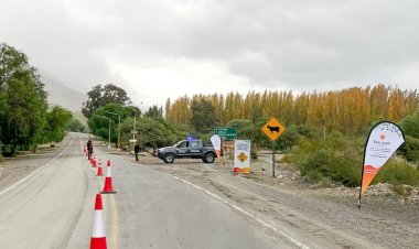 Ambiente solicita bajar la velocidad en rutas para proteger la fauna silvestre