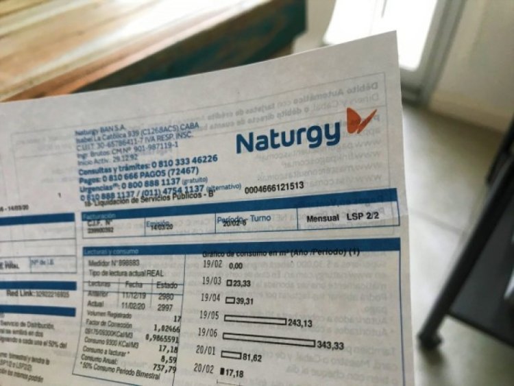 Así es el formulario que se deberá completar para mantener los subsidios energéticos