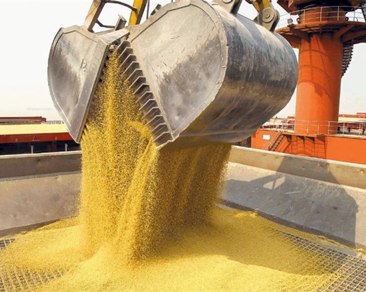 Preocupación de la agroindustria por una letra chica incluida en el acuerdo entre el Mercosur y la UE