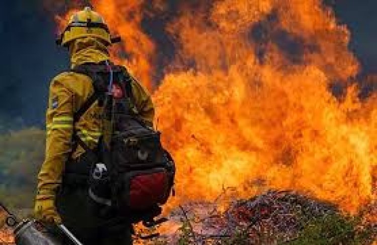 El fuego no da tregua y se reactivaron focos en el Parque Nacional Los Alerces